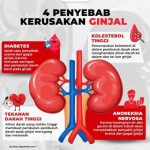 Menjaga Kesehatan Ginjal, Menjaga Kualitas Hidup